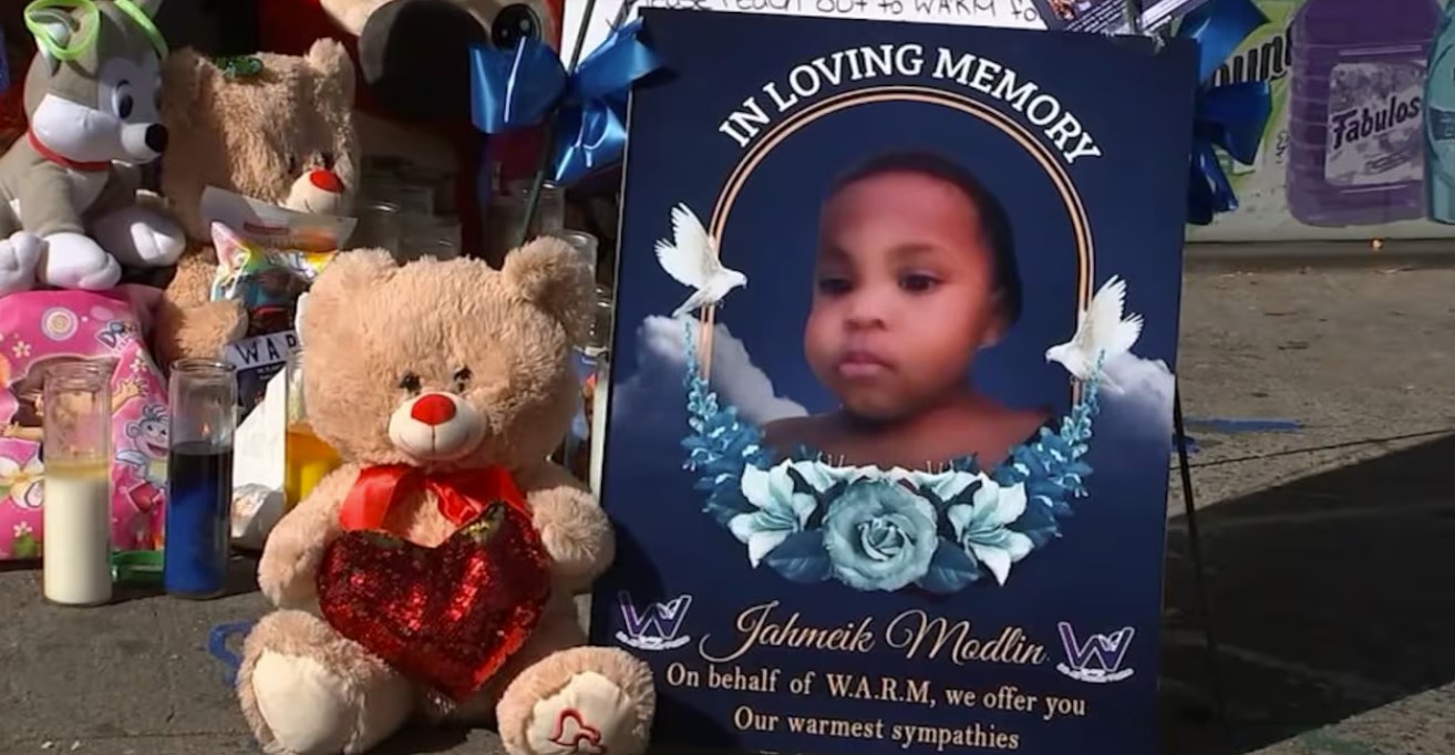 Analysis Lives Cut Short